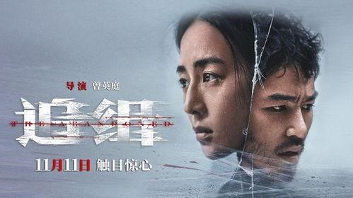 暗伤电视剧演员表